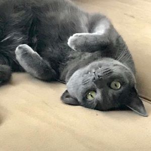 Meet your Posher, Rodrigo